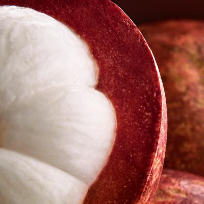 Vegetal Mangostão